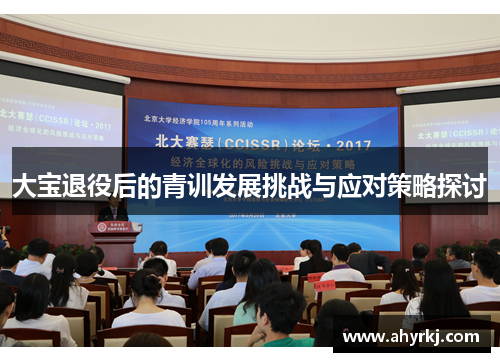 大宝退役后的青训发展挑战与应对策略探讨