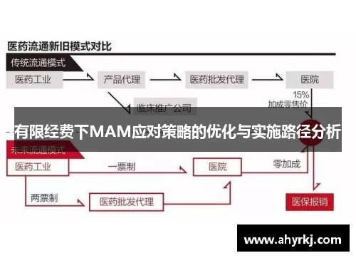 有限经费下MAM应对策略的优化与实施路径分析