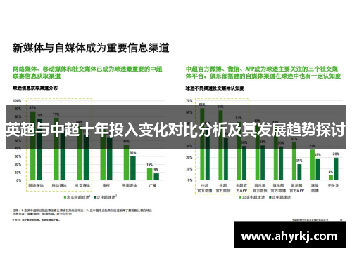 英超与中超十年投入变化对比分析及其发展趋势探讨