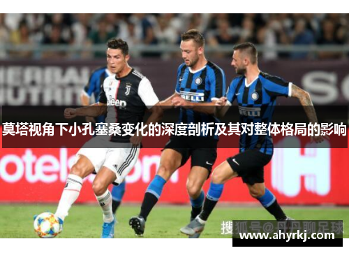 莫塔视角下小孔塞桑变化的深度剖析及其对整体格局的影响