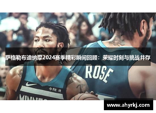 萨格勒布迪纳摩2024赛季精彩瞬间回顾：荣耀时刻与挑战并存